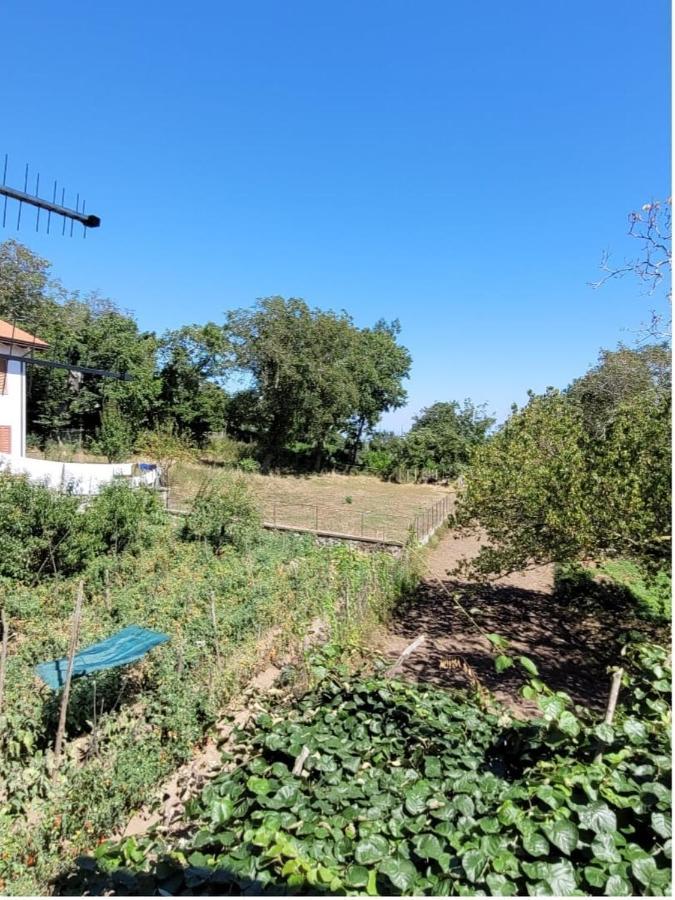 Luna D'Agerola Zewnętrze zdjęcie